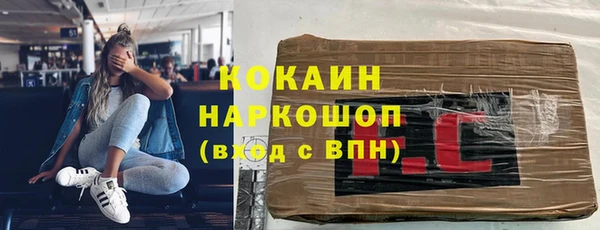 эйфоретик Богданович