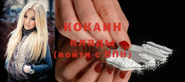 эйфоретик Богданович