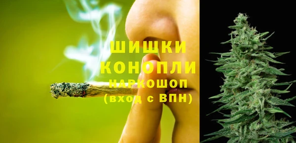 эйфоретик Богданович