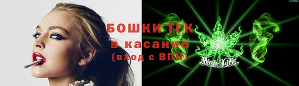 эйфоретик Богданович