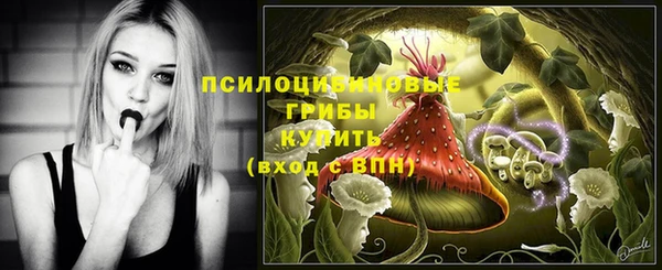 МДПВ Богородицк