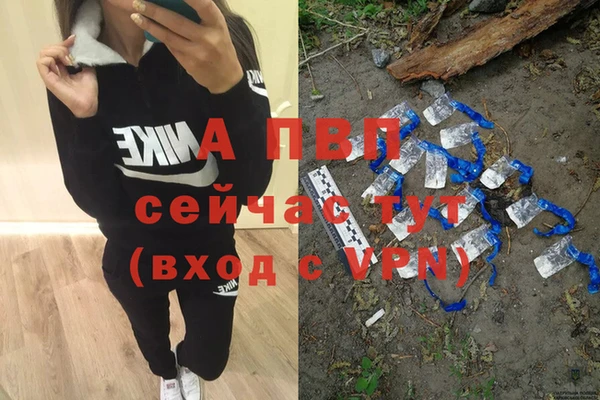 эйфоретик Богданович