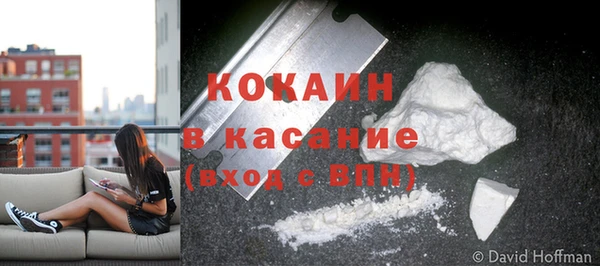 прущая мука Богородск